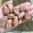 تمر خلاص الاحساء وشيشي فواخر التمور تمور مزارع الريحان