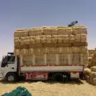 تبن. بر صافي ناعم
