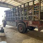 صندوق عايدي