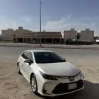 كوريلا 2022