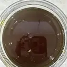 عسل سدر
