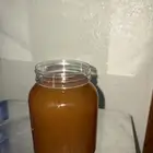 عسل سدر صافي