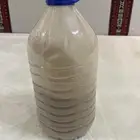 غبار للنصب نص جالون