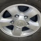 جنوط لاند