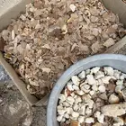 خبز ناشف للحلال