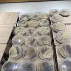 شمع سدر مع خلط بسيط ضهيانه