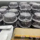 حلوة الجوف