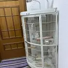 قفص طيور كبير للبيع نظيف