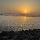 آحتاج شقة غرفتين في حي السنابل او الأجاويد