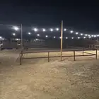 يعلن مربط علياء النسائي عن فتح الايواي