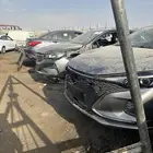 صيني
