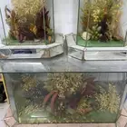 بدون مقابل جلسه وطاولات شاي