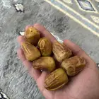 تمر سكري و برحي غير مفروز
