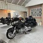 قولد وينق 2010