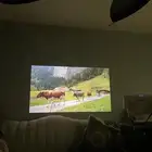 للبيع بروجكتر صغير