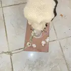 اغراض الصقور و الشبوط