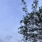 احتاج شقه او ملحق بالدعيثه او بالدفاع بحدود 1100او1200