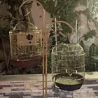 قفص لطيور الزينه