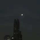 الماليه