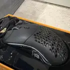 ماوس جيليوريس