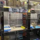فندقة قطط