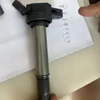 كويلات كوريلا