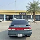 مكسيما 1999 عشبي