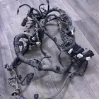 للبيع ضفيره كورولا