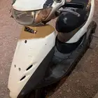 دباب بطه للبيع