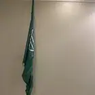 علم المملكة العربية السعودية ( احتفالات)