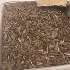 دقة موروكي محسن فاخرة