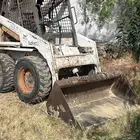 حلباء