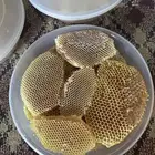 عسل طلحه لهذا العام 1446 12 28