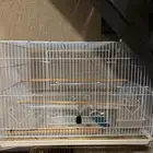 قفص كبيرحجمه 601