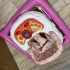 مشاية كراجة حجلة بيبي اطفال