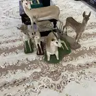 محنطات للبيع