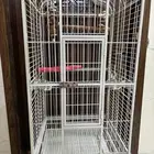 قفص كبير للببغائات