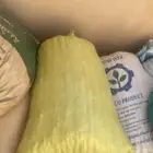 تمر علف غنم