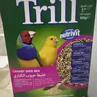 خليط حبوب الكناري