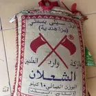رز الشعلان محصول 2021