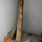 باب