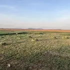 مزرعة كبيره فيها بيت مساحه 200الف صك اكتروني