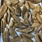 عود مروكي طبيعي محسن الذهبي فاخر ( 101 تقييم ايجابي )