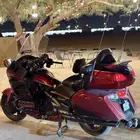 قولد وينق 2015