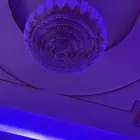 نجف