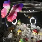 سمك - اجعل هديتك مميزه ( إذا كانت الهديه روح )