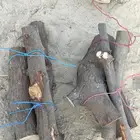 حطب سدر