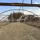 بيت محمي حديد عادي