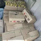 تمر مناصيف (مذانيب)