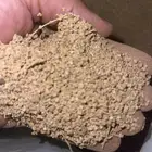 بذور شجر الفرس الرعوي جديد ونظيف